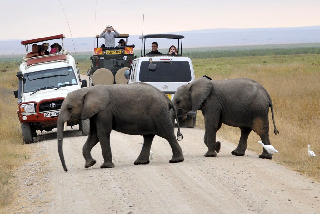 3-Day Amboseli Safari Tour