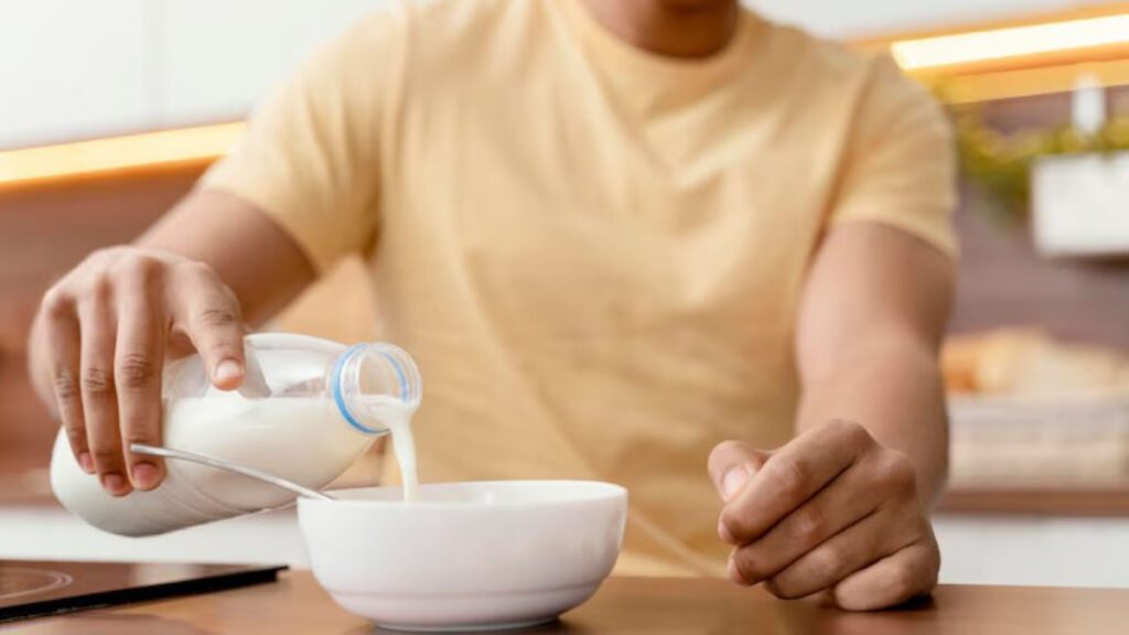 Prebiotics and probiotics foods for gut health