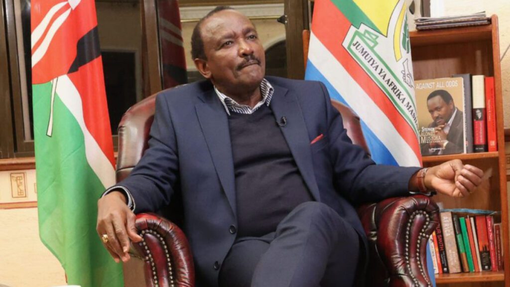 Wiper Party leader Kalonzo Musyoka speaking during an interview.