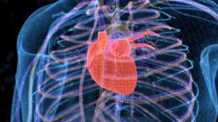 Excessive display cloak time raises heart disease likelihood look 1