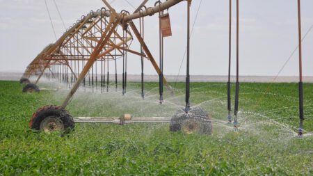 Kenya Signs Deal With UAE Firm to Develop 180,000 Acres in Galana-Kulalu