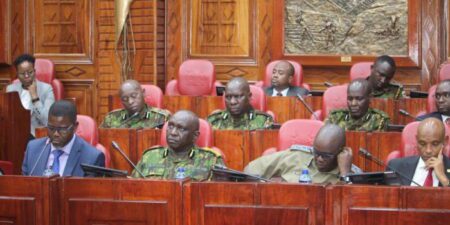 MPs Raise Alarm Ahead of Recruitment of 10,000 Police Constables