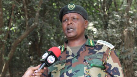 Chief Conservator of Forests Alex Lemarkoko has accused Friends of Karura Forest of financial impropriety